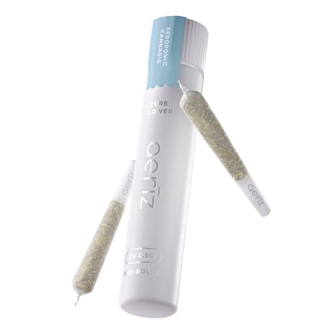 Gorilla Cookies Aeriz