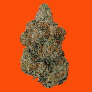 Cannabis Promo, Cannabis Sales, Cannabis Discounts, Cannabis on Sale, 30% off IC Collective 1
