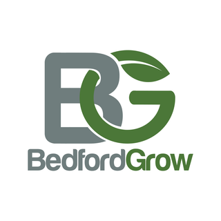 Cannabis Promo, Cannabis Sales, Cannabis Discounts, Cannabis on Sale, $10 Bedford Grow 1g Flower 1