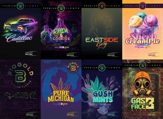 ~ Limited Edition 13x19" In-House Strain Poster BioGold