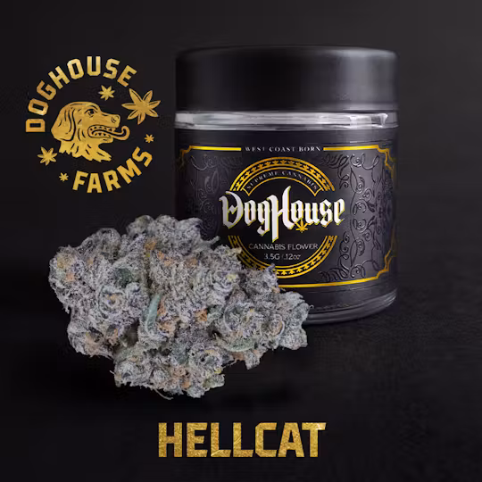 ~ Hellcat Doghouse