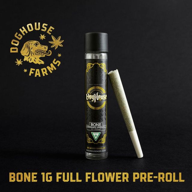 ~ Gratiot Gold Bone Doghouse