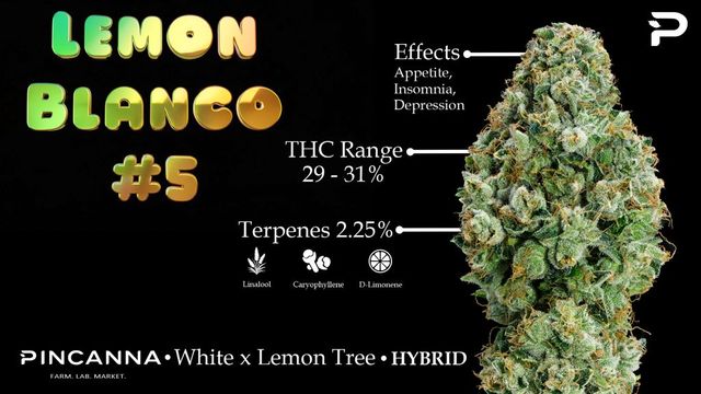 ~ Lemon Blanco Fruit & Fuel