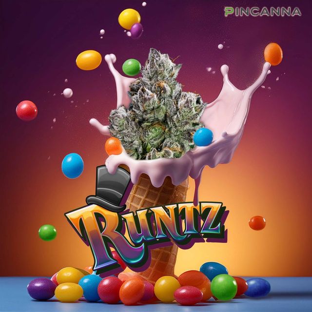 ~ Runtz Fruit & Fuel