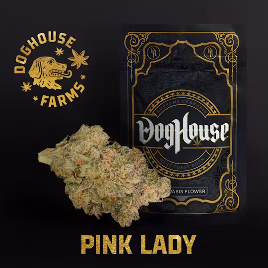~ Pink Lady Doghouse