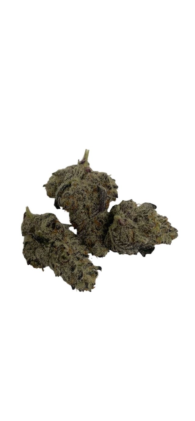 ~ Trapper Treats Redbud Roots