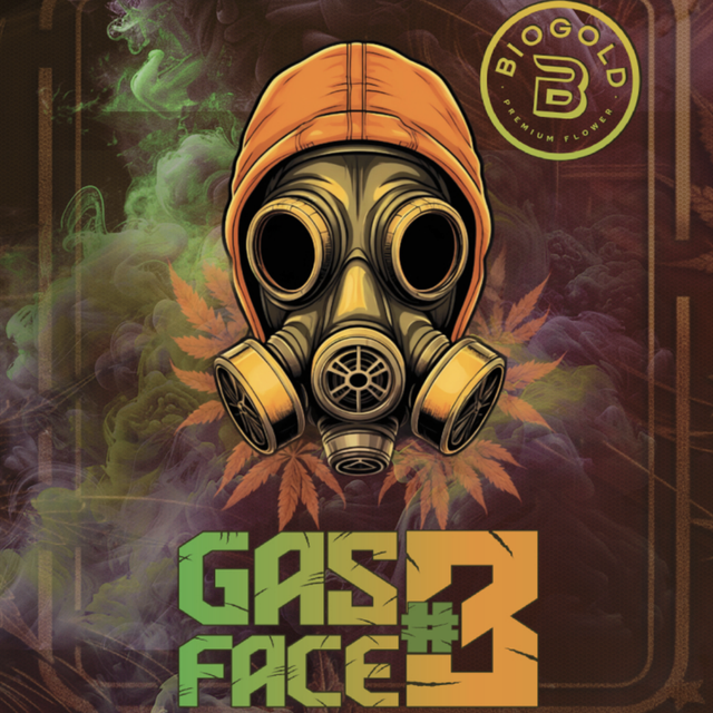 ~ Gas Face #3 BioGold
