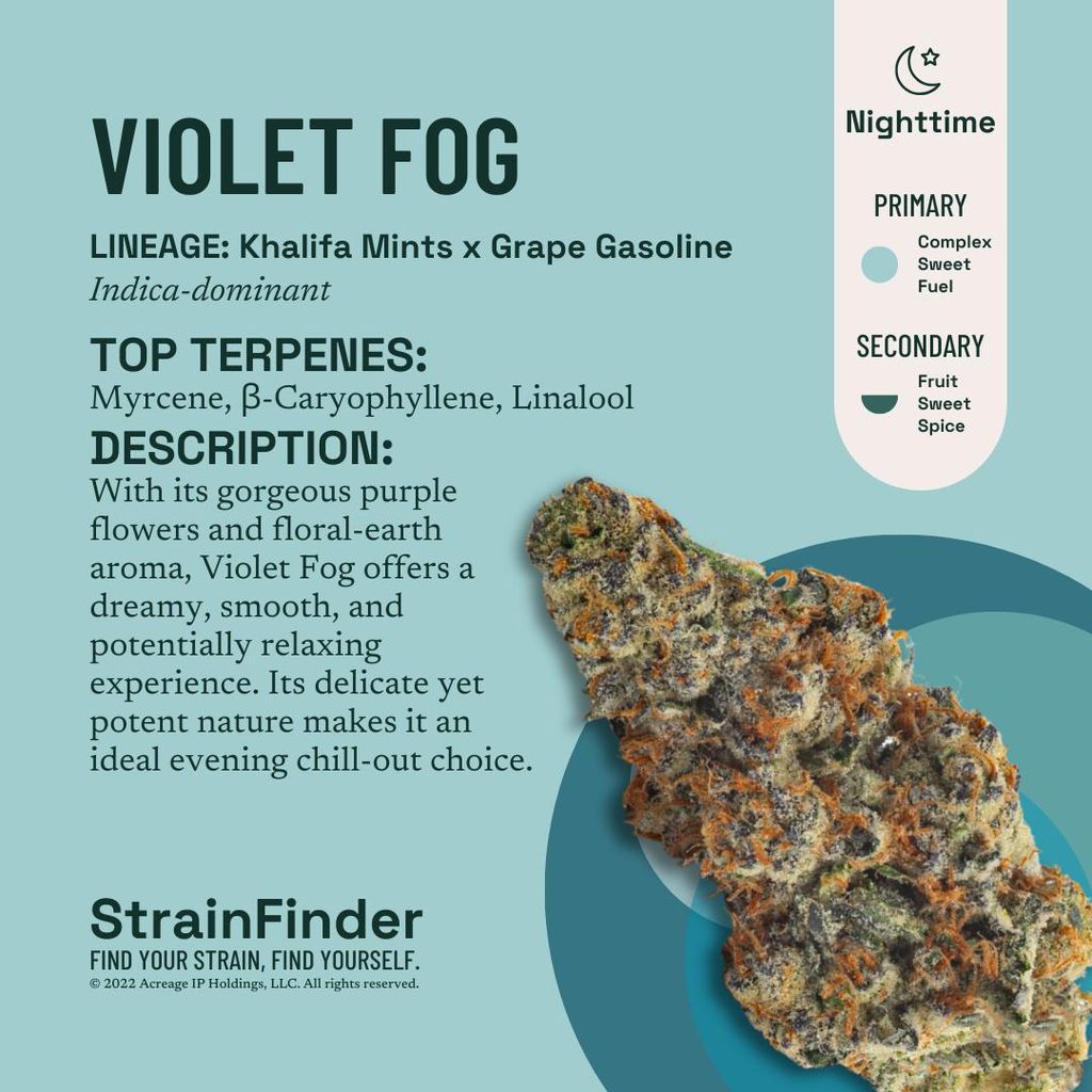 The Botanist Violet Fog 28g