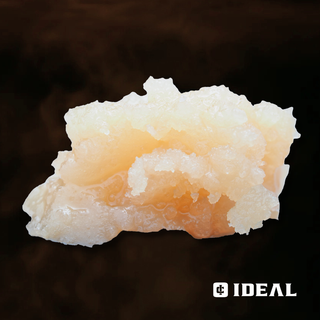 Tropicana Punch #2 Ideal Cannabis