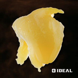 Chimera #4 Ideal Cannabis