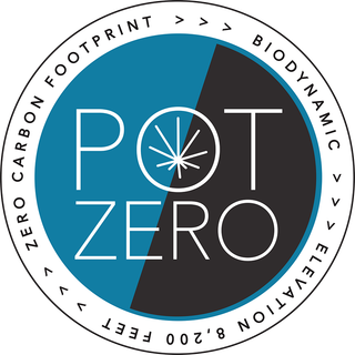 Sassy Molassey (IND) Pot Zero