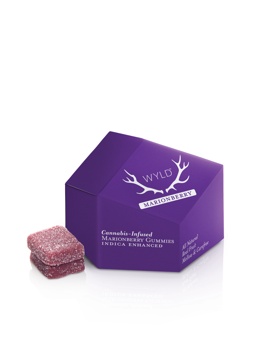 WYLD Marionberry Gummies 10 Pack | 100mg