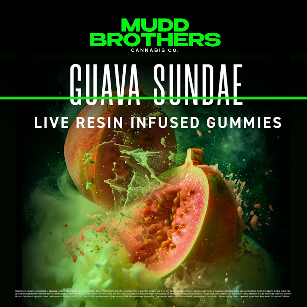 Guava Sundae | Live Resin
