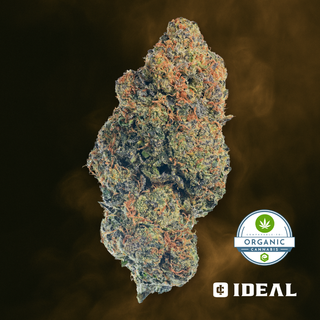 Dealers Choice