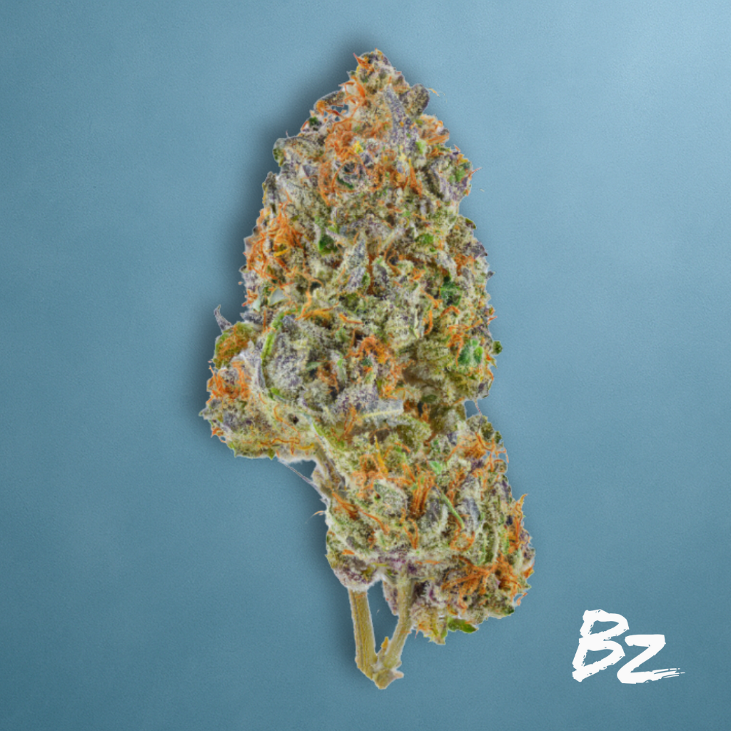 Oregon Diesel