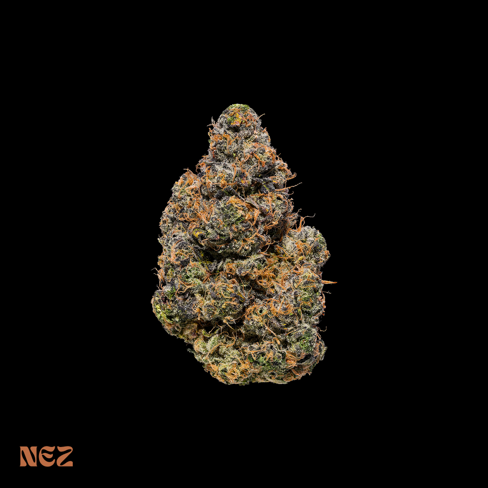 NEZ Black Maple #22 1g