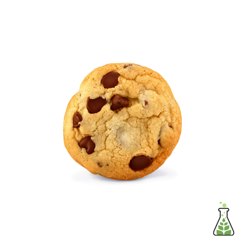 Chocolate Chip