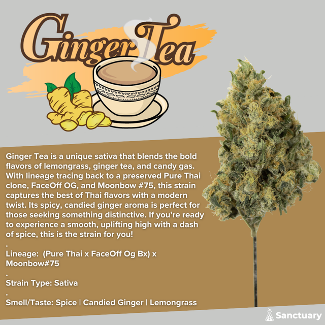 Ginger Tea Sanctuary