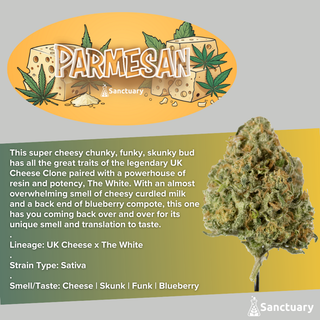 Parmesan Sanctuary