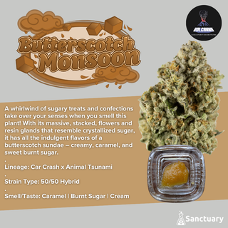 Butterscotch Monsoon - Cured Resin Volcanna