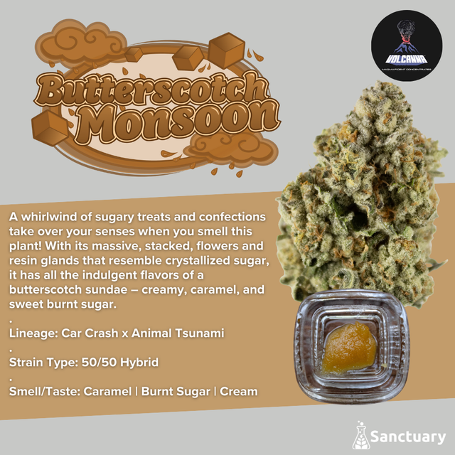 Butterscotch Monsoon - Cured Resin Volcanna