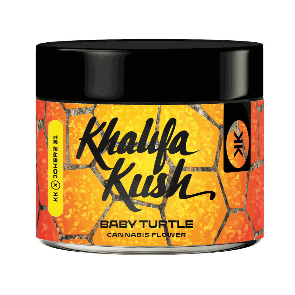 Baby Turtle | Indoor