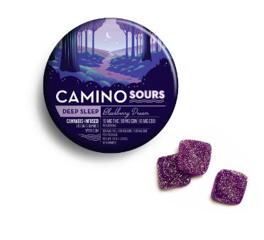 Camino Sours | Blackberry Dream 1:1:1 | Deep Sleep