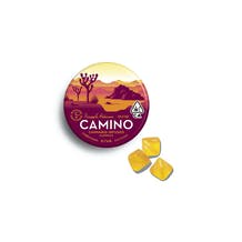 Camino | Pineapple Habanero | Uplifting