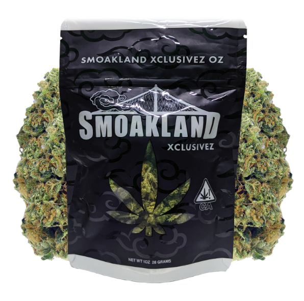 Blue Dream | Xclusivez | Premium Sungrown
