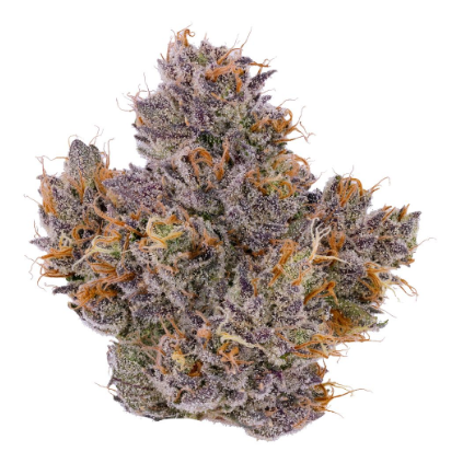 Rapper Weed | Indoor