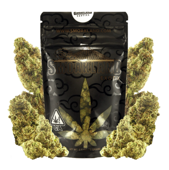 Premium Jack Herer | Exotix | Sungrown