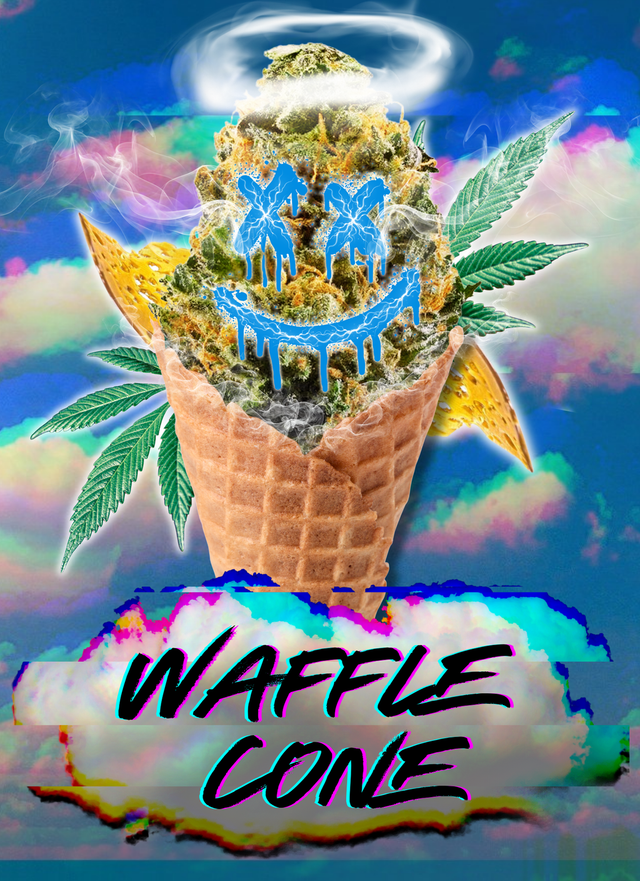 ~ Waffle Cone BioGold