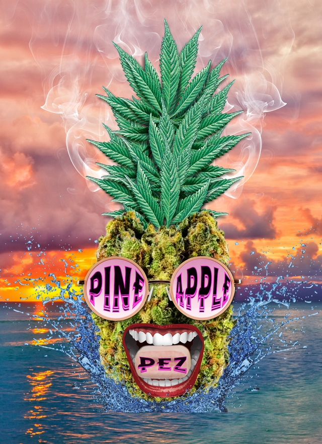 ~ Pineapple Pez BioGold