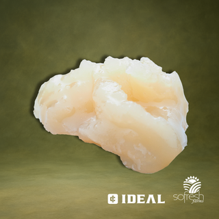 Cap Junky Ideal Cannabis