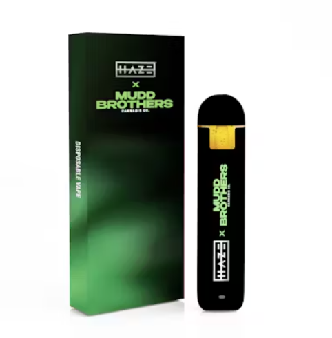 elf bar vape uk Disposable 1g Vapes main image 0