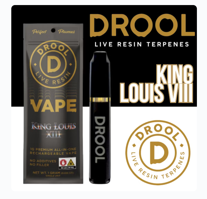 Buy King Louis XIII 1g Disposable online - Valley Wellness Raritan