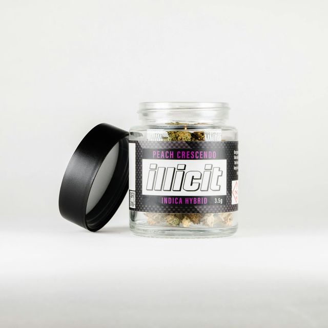 Peach Crescendo Illicit