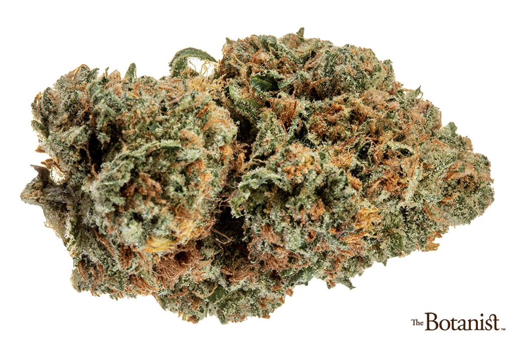 Tasty Trees
