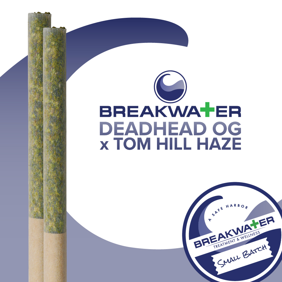 Deadhead OG x Tom Hill Haze