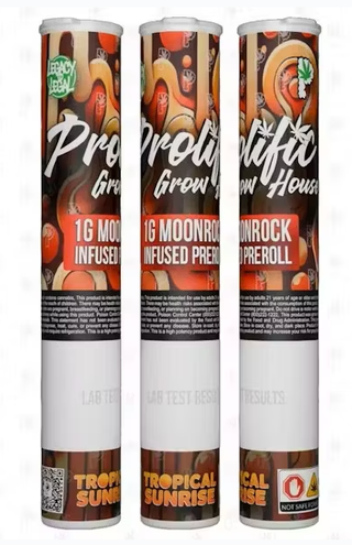 Tropical Sunrise Prolific Growhouse