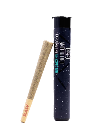 AJs Sour Diesel Anthologie