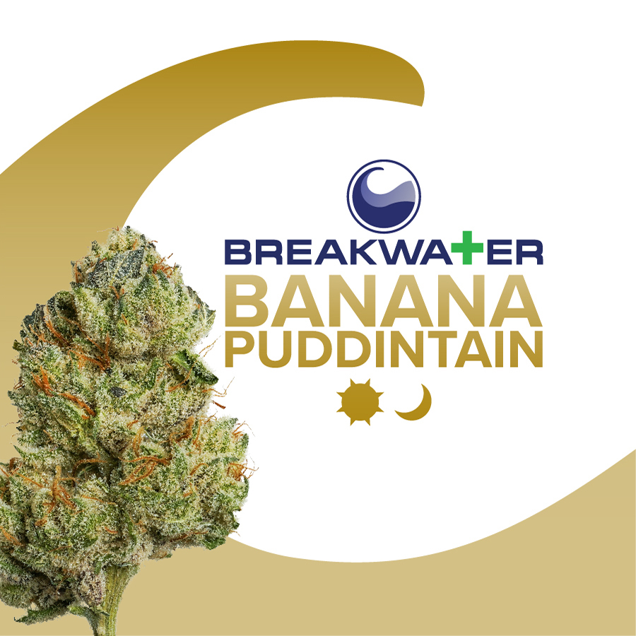 Banana Puddintain