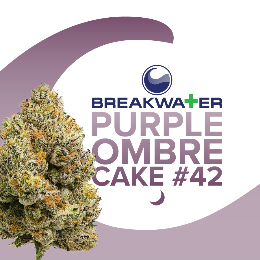 Purple Ombre Cake #42