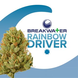 Rainbow Driver Breakwater