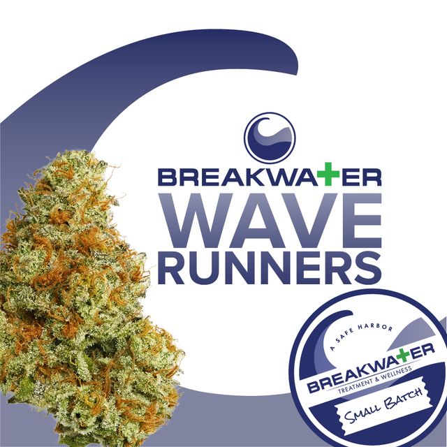Wave Runners Breakwater