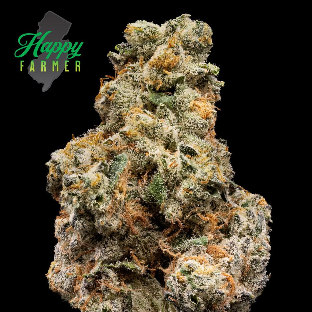 Happy Farmer Lemon Cherry Fritter Whole Flower 3.5g