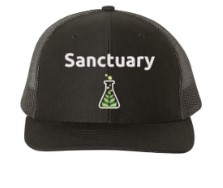 Hat - Sanctuary Beaker Black/Black Trucker