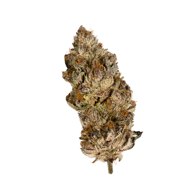 Acai Gelato x Sherb ROAM Acai Gelato x Sherb ROAM
