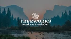 CannaCream Body Rub 1:1 (THC:CBD) Treeworks