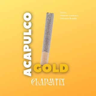 Acapulco Gold Claravita